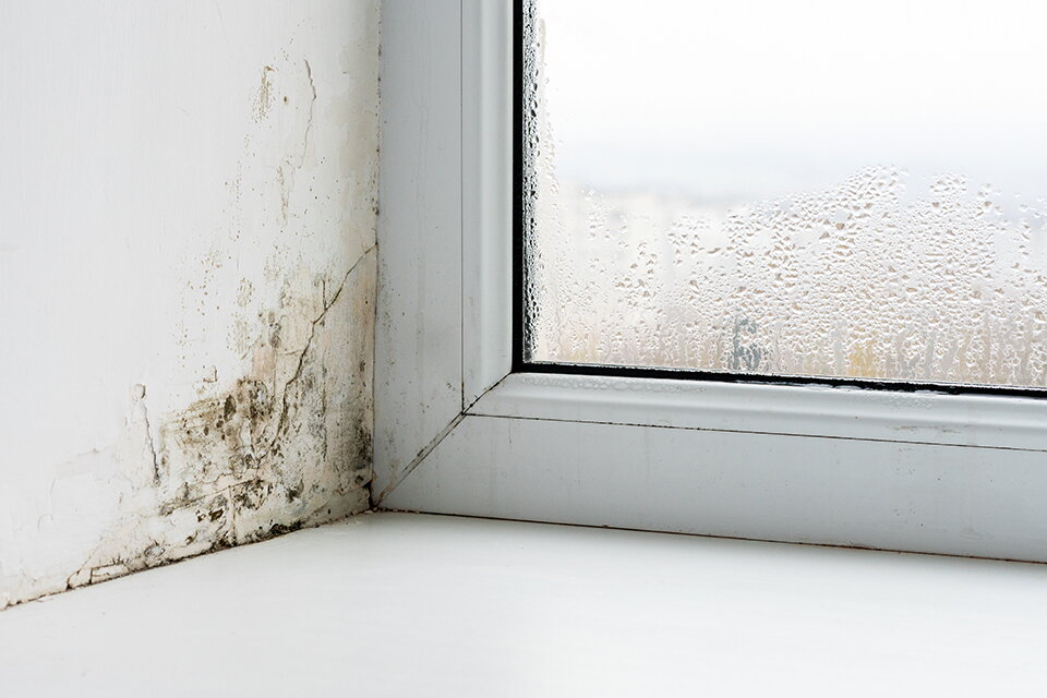 Schimmel in einer Fensternische, Kondenswasser auf der Scheibe